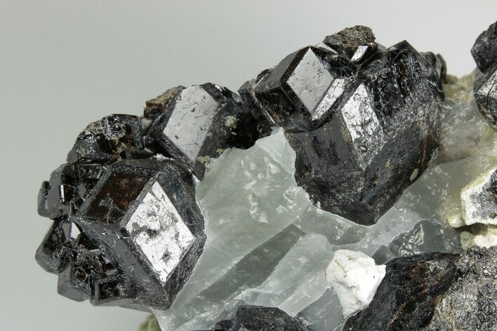 Lustrous Black Garnets with Blue Calcite - Mexico #190817